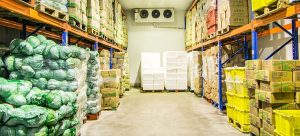 kho lạnh bảo quản nông sản